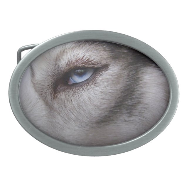 Husky Belt Buckle Husky Malamute Sled Dog Buckles (Front)