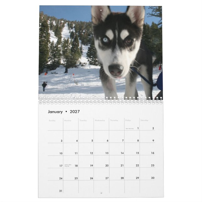 Husky Calendar 2011 (Jan 2027)