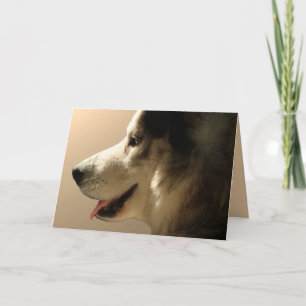 Husky Card Alaskan Malamute Card Personalized