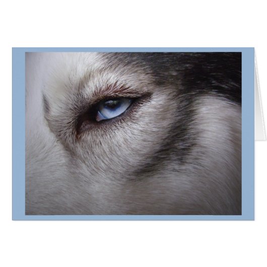Husky Card Blank Sled Dog Husky Card (Front Horizontal)