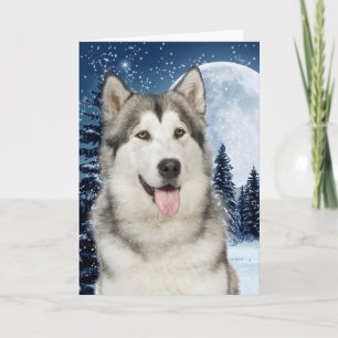Husky Christmas Card