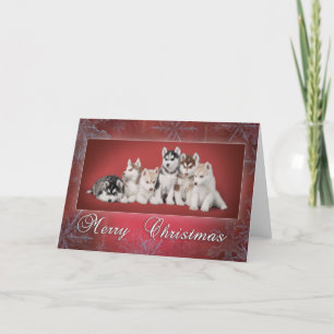 Husky christmas holiday card