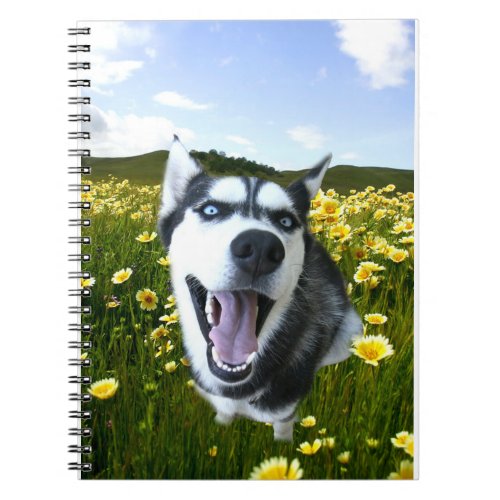 Husky Cute Notebook