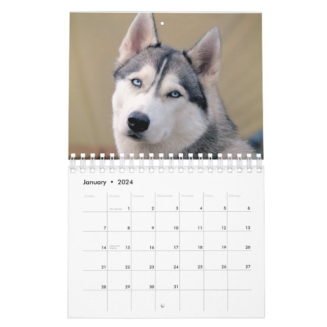 husky dog 2023 calendar | Zazzle