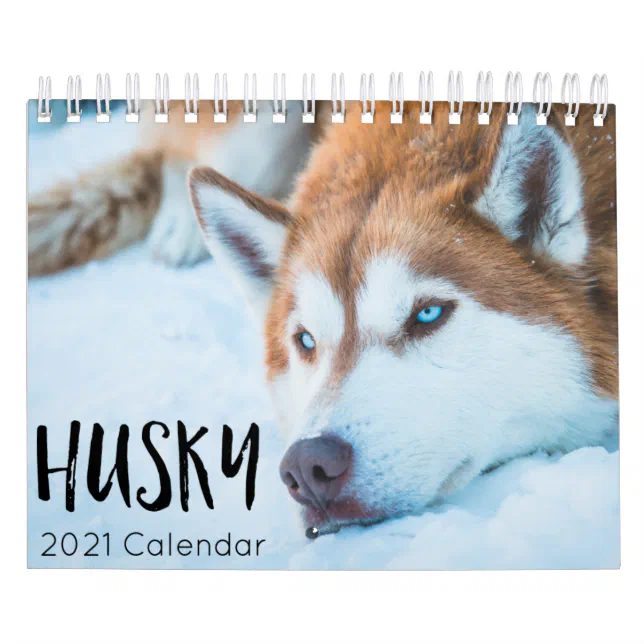 husky dog 2023 calendar | Zazzle