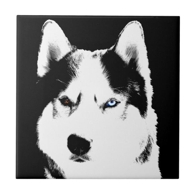 Husky Dog Art Ceramic Tile Malamute Wolf Dog Gifts (Front)