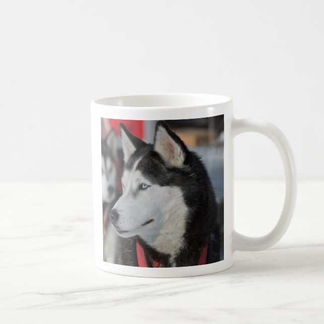 Husky dog before a race, Canada Coffee Mug (Right)