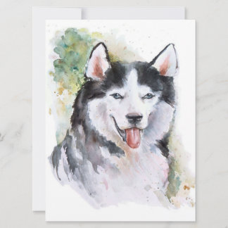 Husky dog Canvas