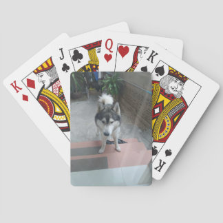 Husky Dog Classic Playing Cards
