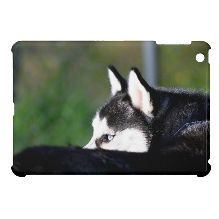 Husky dog ipad Mini Case