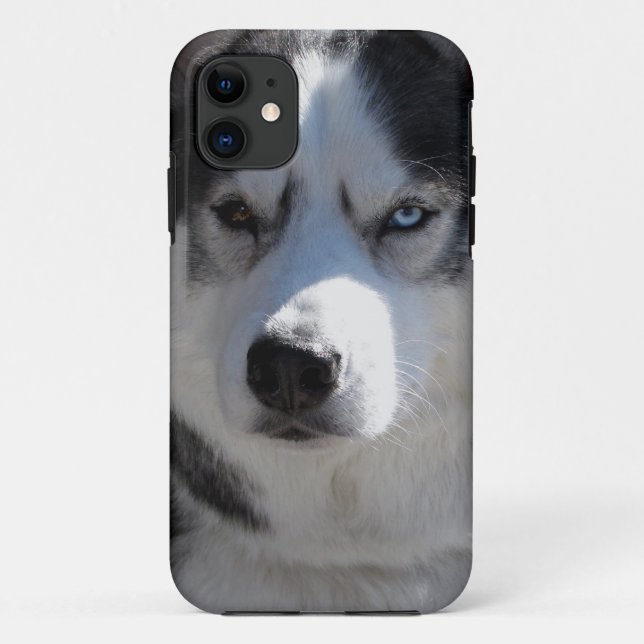 Husky Dog iPhone Cases Husky Malamute Cases (Back)