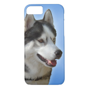 Husky Dog iPhone Cases Husky Malamute Pup Cases