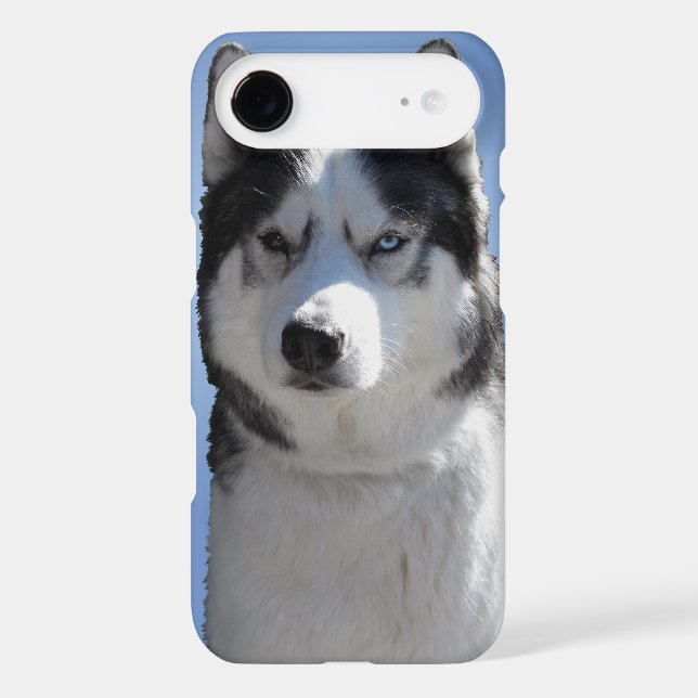 Husky Dog iPhone Cases Husky Malamute Pup Cases (Back)
