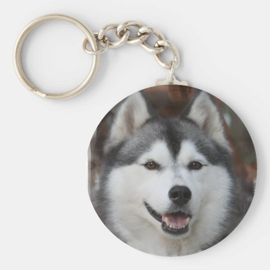 husky plush keychain