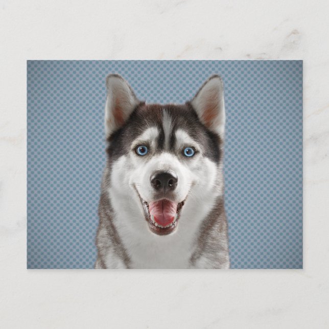 Husky Dog Monogram Photograph Postcard (Front)