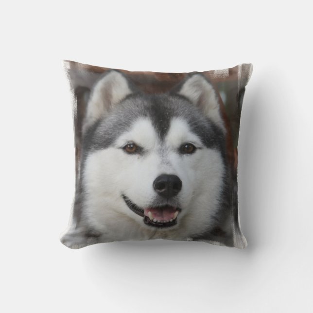 Husky Dog  Pillow (Front)