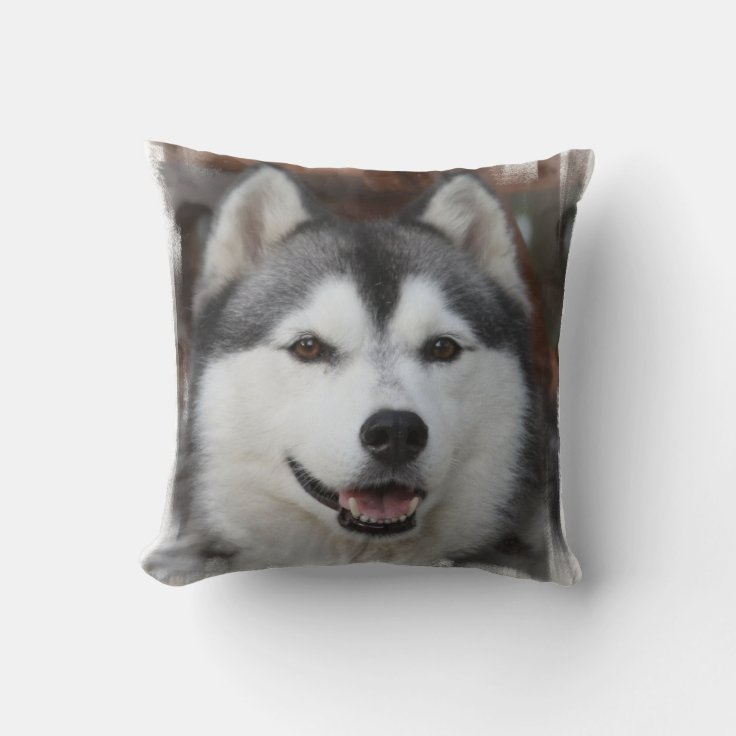 Husky Dog Pillow | Zazzle