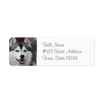 Husky Dog Return Address Label by DogPoundGifts at Zazzle