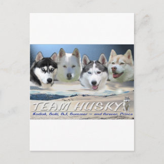 husky dog sleding postcard
