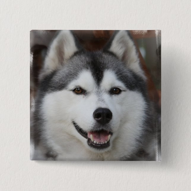 Husky Dog Square Button (Front)