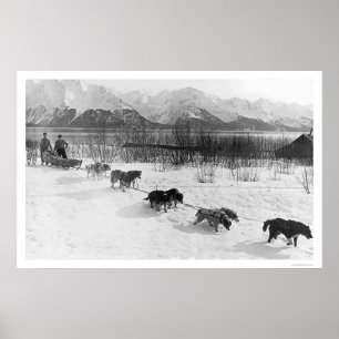 Husky Dog Team Alaska 1918 Poster