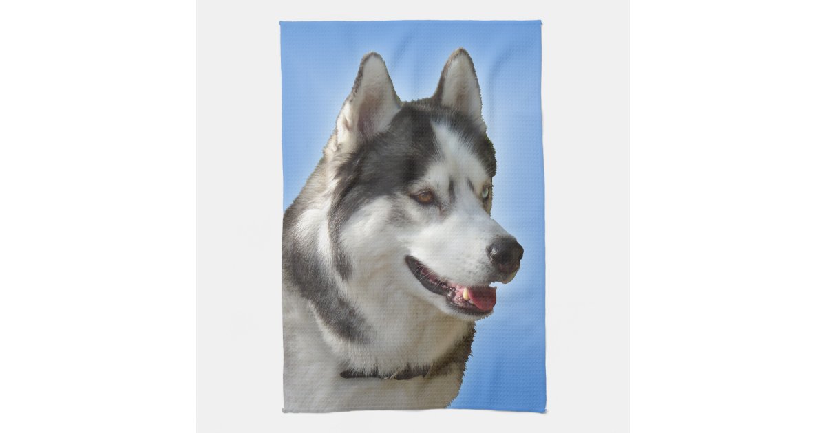 Husky Dog Towel Husky Malamute Tea Towel Zazzle