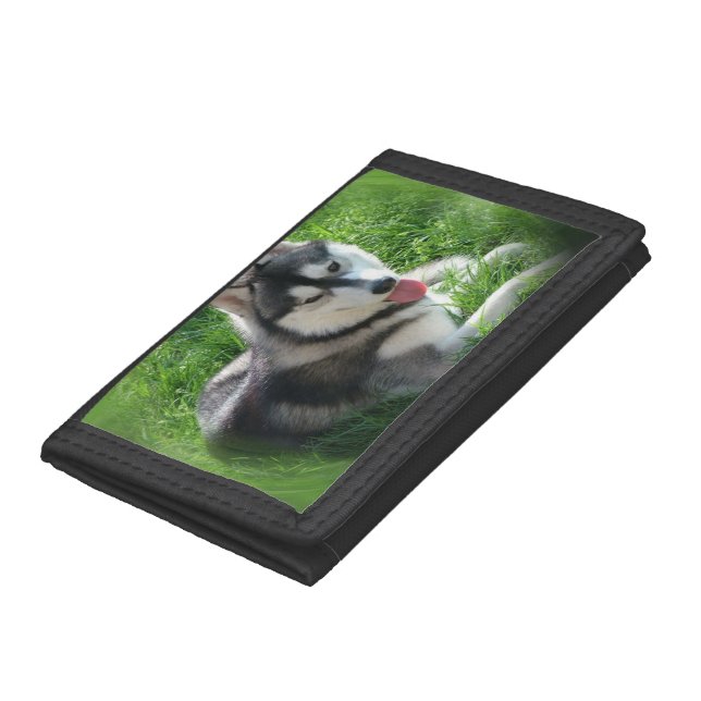 Husky Dog Wallet For Women (Bottom)