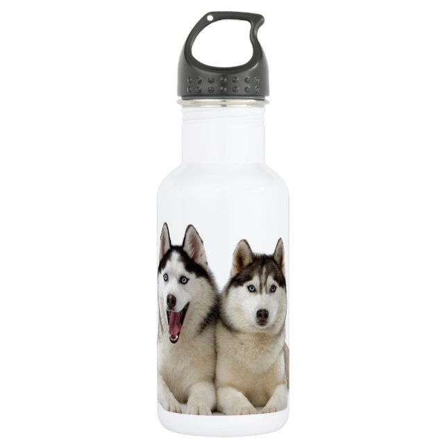 Husky Dogs Water Bottle (Front)