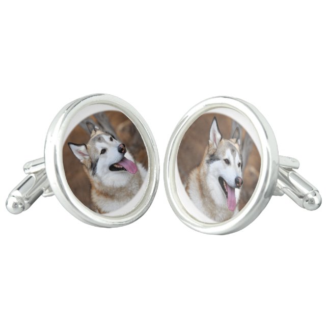 Husky Dude! Cufflinks (Angled)
