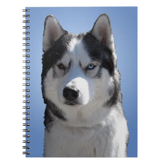 Husky Eye Notebook Siberian Husky Gifts & Books (Front)