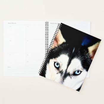 Husky Eyes Planner by MarblesPictures at Zazzle