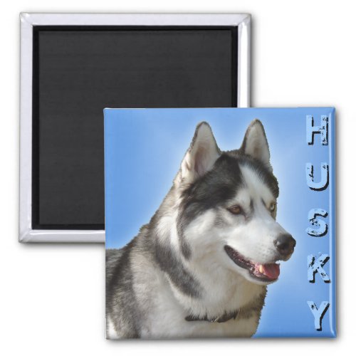 Husky Fridge Magnet Alaskan Sled Dog Magnet  Gift