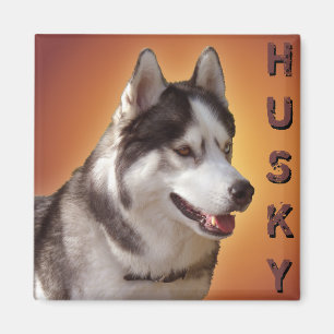 Husky Fridge Magnet Alaskan Sled Dog Magnet / Gift