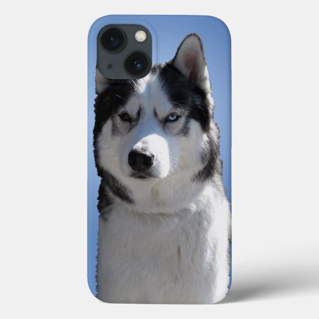 Husky Galaxy S3 Case Sled Dog Husky Case (Back)