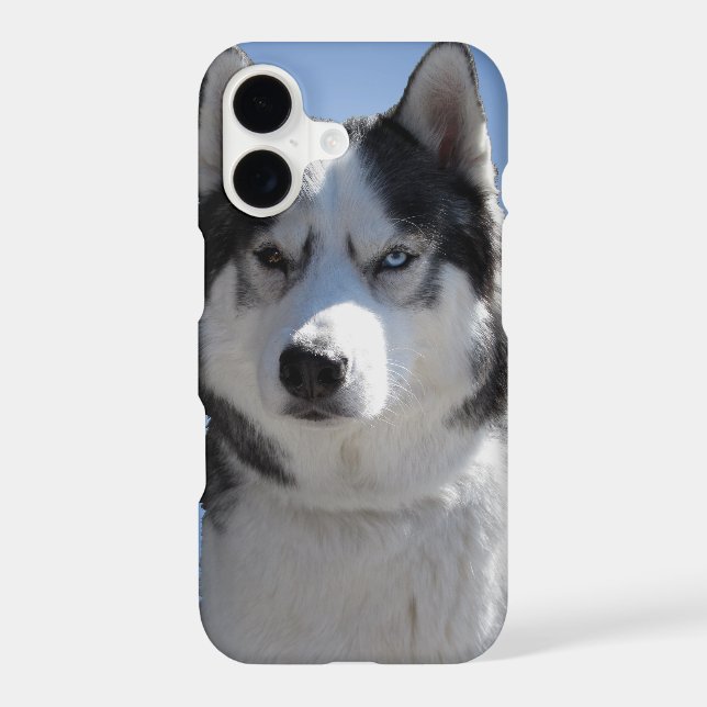 Husky Galaxy S4  Case Sled Dog Husky Case (Back)