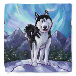 Siberian hotsell husky clothes