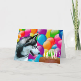 Siberian Husky Lover Cards Zazzle - 