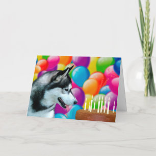 Husky Happy Birthday Card