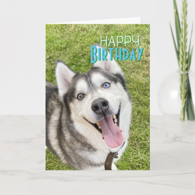 Husky Happy Birthday Card dog (Front)