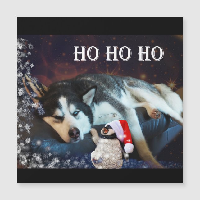 Husky Humbug Christmas Magnetic Card (Front)