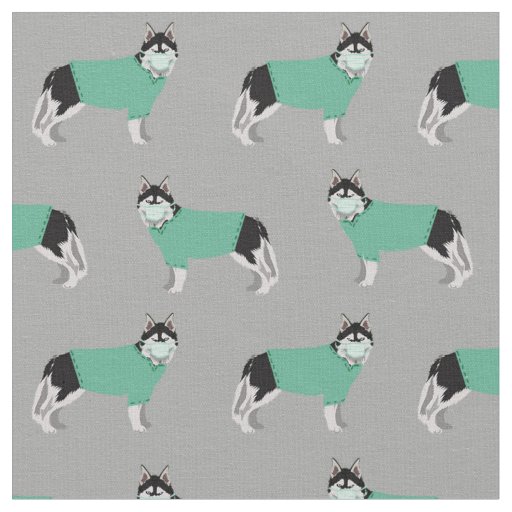 Husky in scrubs dog nurse grey fabric