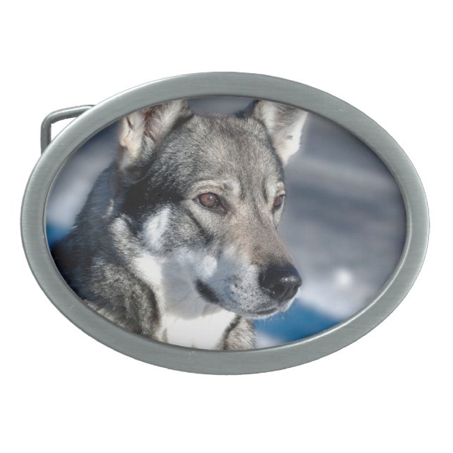Husky in Snow Buckle Belt Buckle (Front)