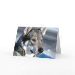 Husky in Snow Note Card