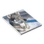 Husky in Snow Notepad