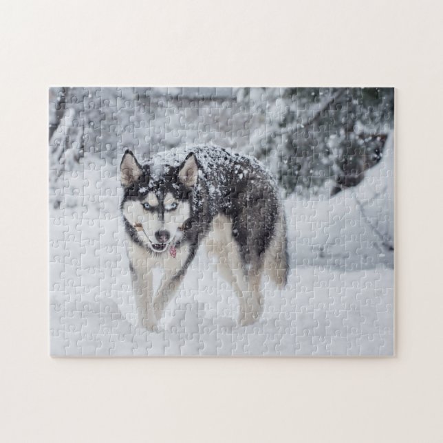 Husky in the snow jigsaw puzzle (Horizontal)