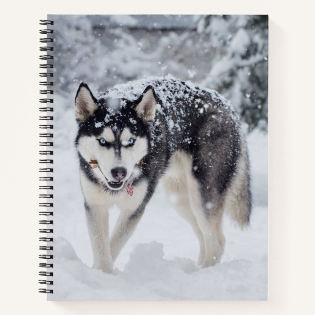 Husky in the snow notebook (Front)