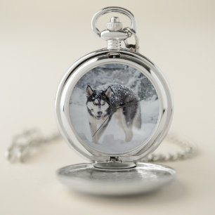 Husky in the snow pocket watch