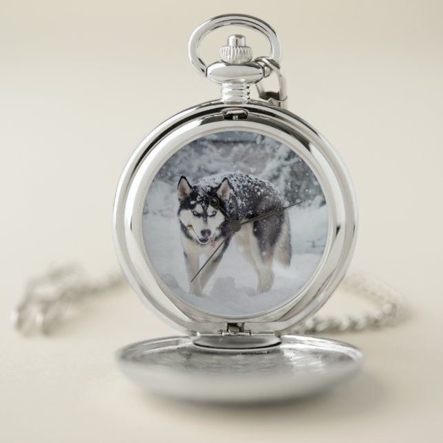 Husky in the snow pocket watch (Inside)