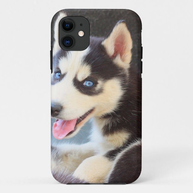 Husky iPhone 5 case (Back)
