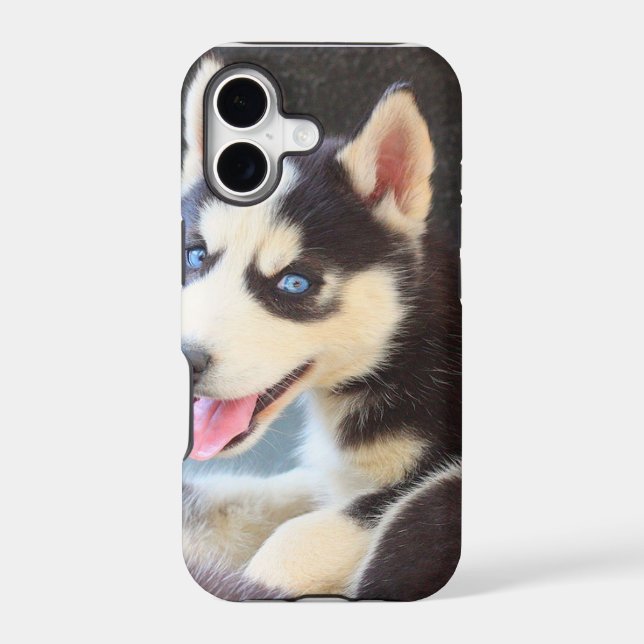 Husky iPhone 5 case (Back)